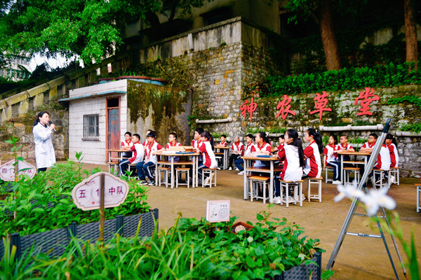 中药师带领同学们认识中药。陶涵摄