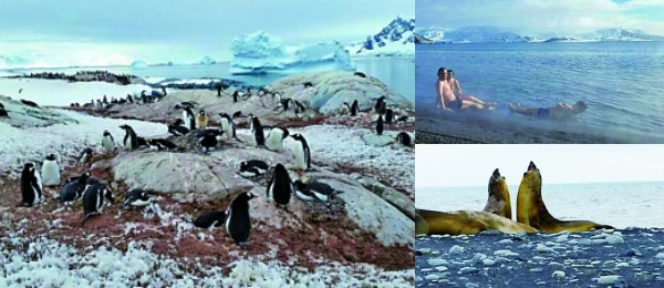 重庆沙区山洞街道书记郭卫打幺地人赌博被免职