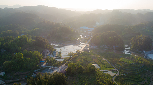 新华网重庆频道