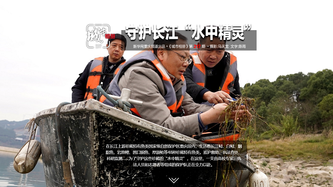 【城市相册】守护长江“水中精灵”
